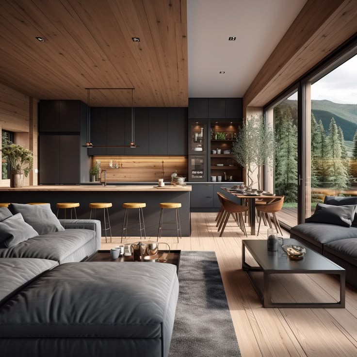 modern_livingcumkitchen